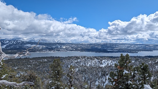 A picture taken from the Cougar Crest Trail hike in Big Bear; the lake in the background is Big Bear Lake.