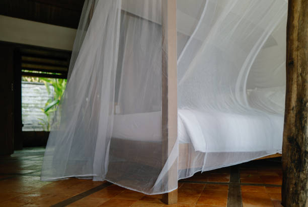 istock Keep Mosquito Away In A Green Way 2147665186