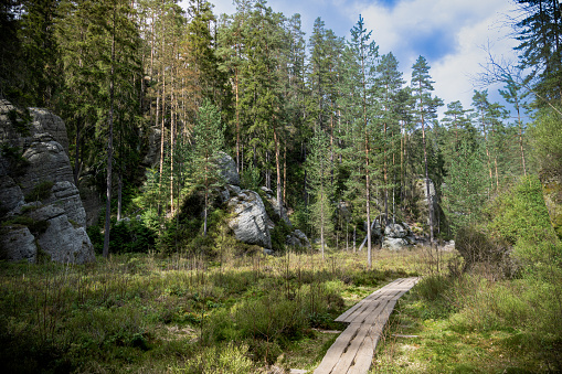 A wooden path winds its way through a thick forest, surrounded by towering trees at Adrspach Teplice rock formation in the Czech Republic. The pathway provides a clear route for visitors to explore the natural beauty of the area.