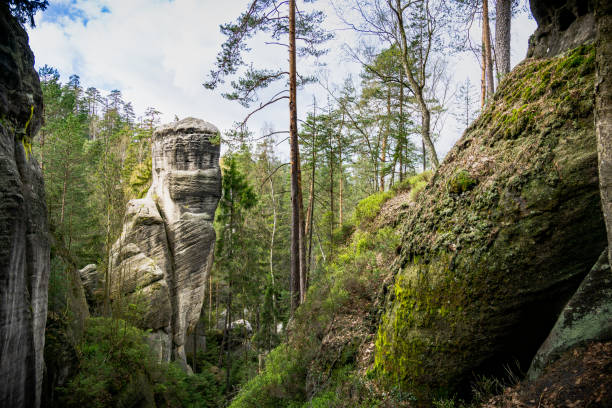 istock Massive Rock Formation Amidst Forest in Adrpach Teplice, Czech Republic 2147666325