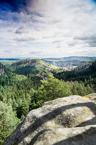 This photograph showcases a sprawling forest landscape as seen from a high vantage point. The dense canopy of trees stretches out in all directions, with winding paths and clearings visible below. The Adrpach Teplice rock formation in Czech Republic adds a unique element to the scene.