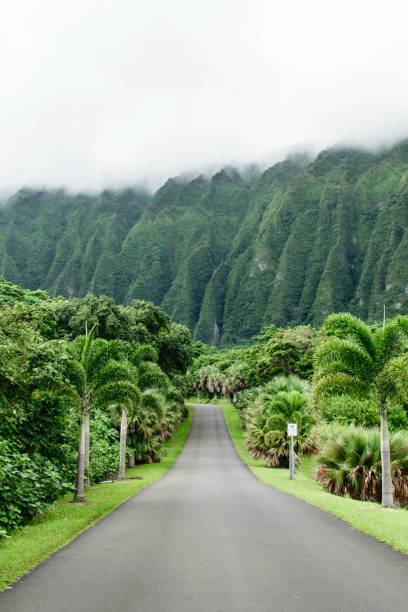 istock The iconic road in hawaii 2147666946