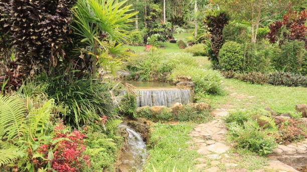 istock pool with clear water flowing in the flower garden 2147667599