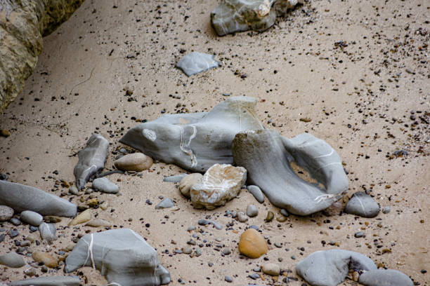 Rocks on the sand shaped by the years in the ocean