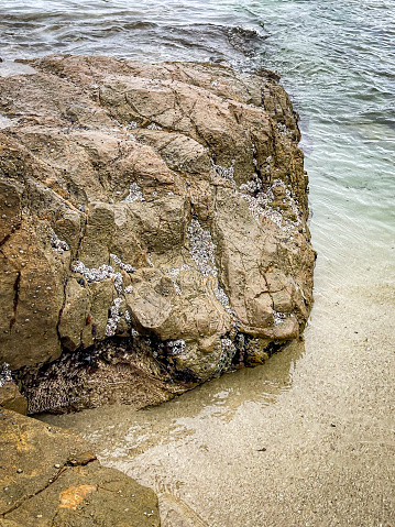 Large boulder in the tide pools of Laguna Beach California