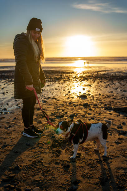 istock Woman walks her dog on the beach 2147671370