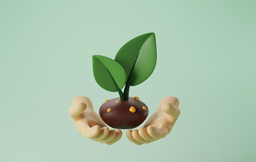 Embrace beauty of nature of hands nurturing a plant. Captivating eco-friendly concept, ideal for projects advocating sustainability and environmental awareness. 3D render illustration