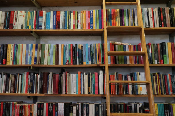 istock Aesthetic wall of books 2147672125