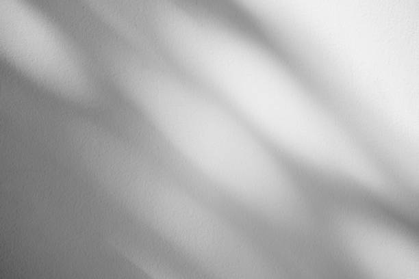istock Wall interior background, studio and backdrops show products.with shadow from window color white . background for text insertion and presentation product 2147673885