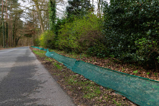 istock Green mesh along the forest road blocking the exit of small animals 2147674513