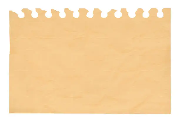 Vector illustration of A horizontal vector illustration of a blank striped beige light brown colored ripped paper page from a spiral notepad with holes from puncher as top edge border