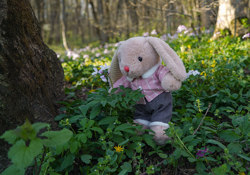 A plush rabbit toy stands in flowers in spring