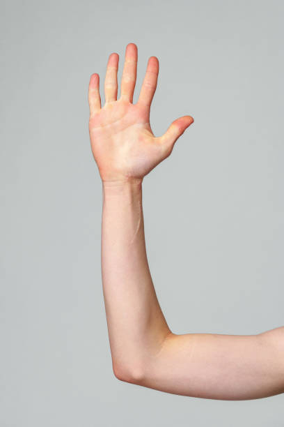 istock Raised Human Hand Against a Neutral Grey Background Exhibiting Palm and Fingers 2147677427