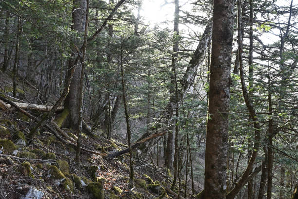 istock Climbing Mt. Ogura, Nagano, Japan 2147678550