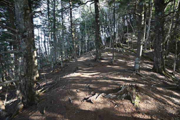 istock Climbing Mt. Ogura, Nagano, Japan 2147678558