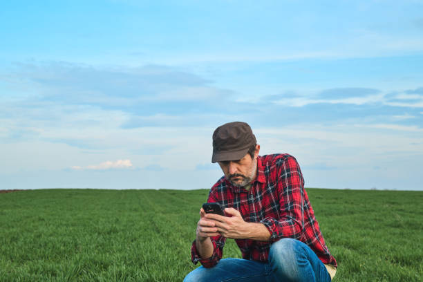 istock Smart farming, farm worker using smartphone in cultivated wheat field 2147678749