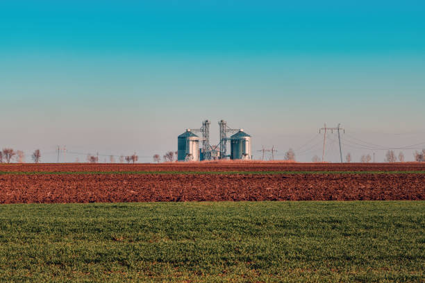 Grain storage silos, large agricultural building on farmland, selective focus