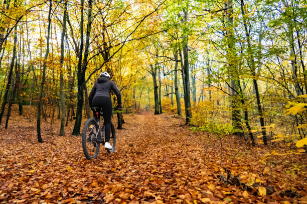istock Woman riding bicycle in forest 2147679578