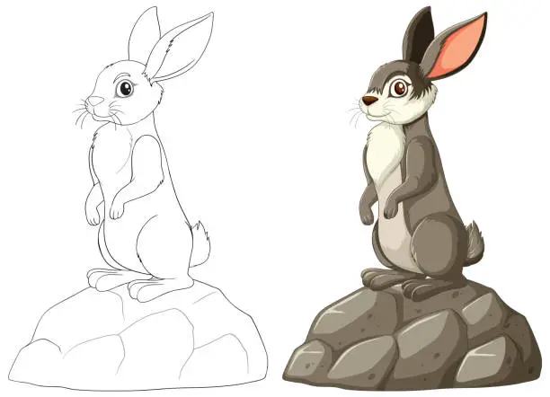 Vector illustration of Colorful and outlined rabbit illustrations side by side.