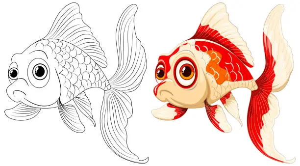 Vector illustration of Black and white sketch beside a colored goldfish illustration.