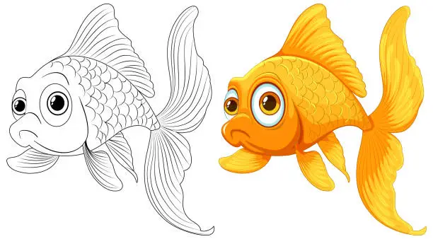 Vector illustration of Comparison of a goldfish sketch and a colored illustration