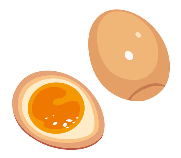 흰색 배경에 양념 삶은 달걀 - white background brown animal egg ellipse stock illustrations