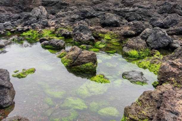 istock Small lake st a volcanic rock formations. 2147683119