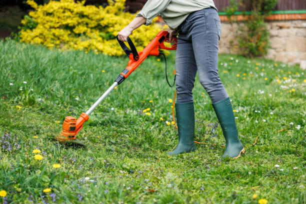 istock Woman cutting grass by string trimmer. Gardening equipment 2147684578