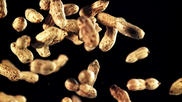 Peanuts tumbling on a dark surface, a staple food ingredient in cuisine