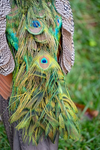 Portrait of a beautiful blue peacock with its colorful feathers.