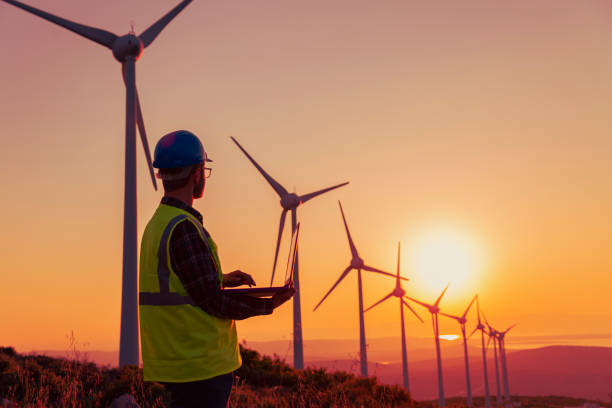 Renewable Energy Systems Innovator: Engineer Planning at Wind Turbines Farm