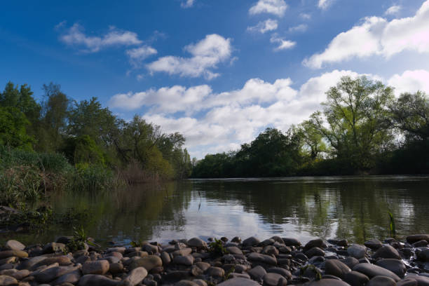 Wetland riverbank and sunny blue sky copy space scene