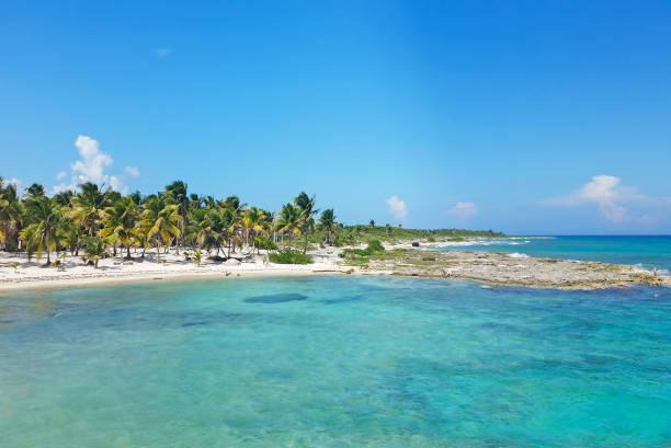 istock Coast of Roatan, Honduras 2147688528