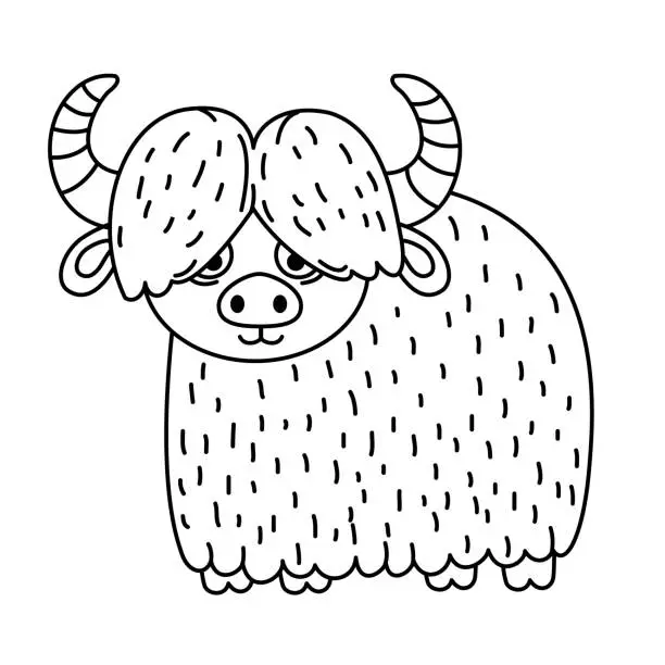 Vector illustration of Hand drawn yak character illustration, vector