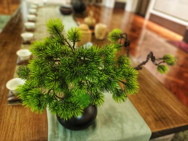 istock Bonsai horticultural is the best hobby 2147690970