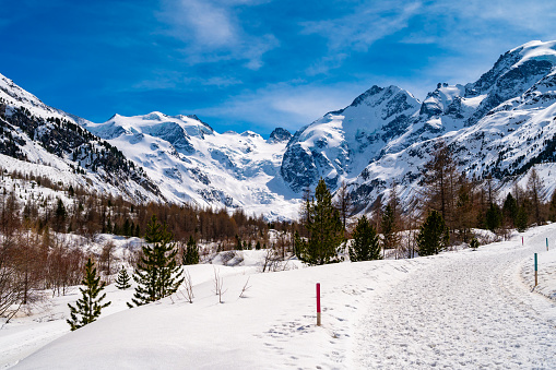 A close-up view of the Morteratsch glacier in winter, Engadin, Switzerland.