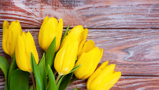 Bouquet of beautiful yellow tulips on a wooden background. Banner. Top view. Place for text. Selective focus.