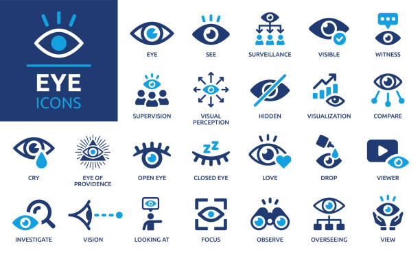 illustrazioni stock, clip art, cartoni animati e icone di tendenza di eye icon set. - vedere