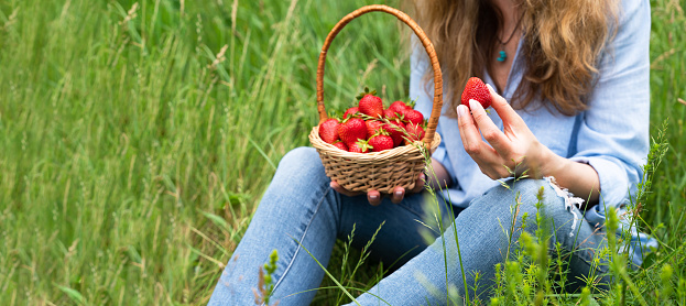 Young woman sits on the green grass and eating ripe strawberries sitting. Healthy lifestyle concept. Banner. Copy space. Selective focus.