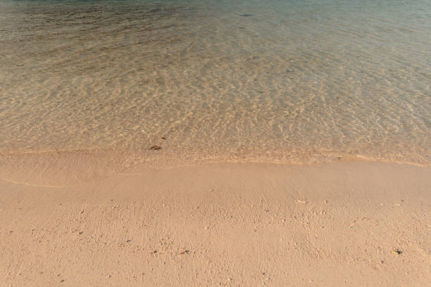Beach sand texture for background