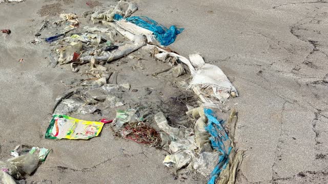 Environmental Pollution on beach