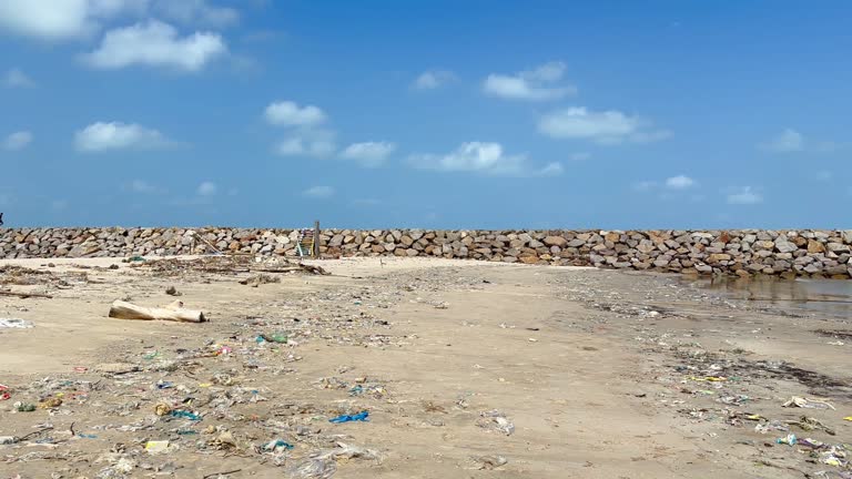 Environmental Pollution on beach