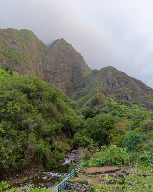 istock View of the path and a stream passing through beautiful Iao Valley State Monument on the island of Maui, Hawaii, USA 2147693668