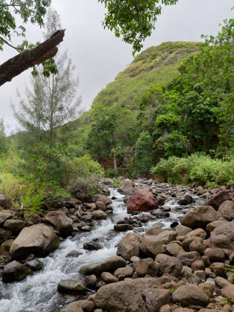 Stream passing through beautiful Iao Valley State Monument with mountain in the background on the island of Maui, Hawaii, USA