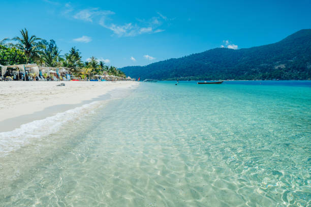 istock Beach and clear blue water in summer and vacation 2147693797