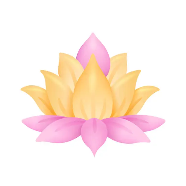 Vector illustration of The lotus flower is light yellow and pink. Photorealistic vector illustration isolated on white background