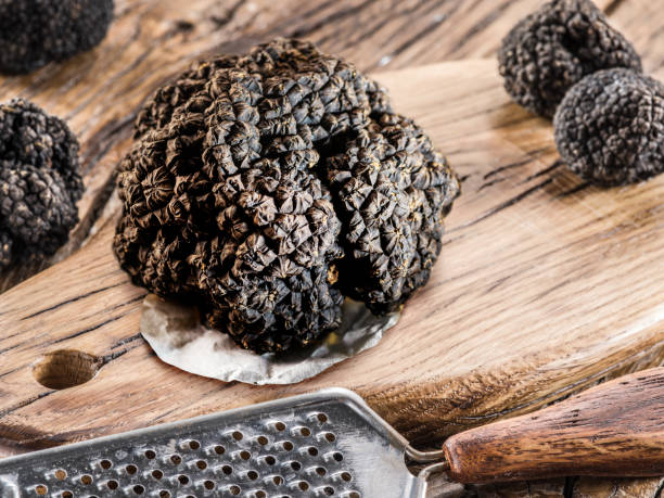 istock Summer truffles and truffle slices isolated on white background. Close-up.. 2147694015