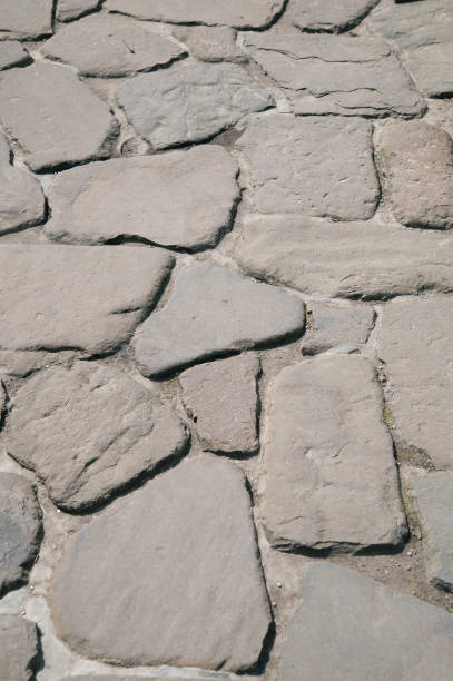 Path made of stones in the garden. Decorative path for walking.