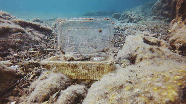 Disposable plastic container on seabed, Plastic pollution of the Ocean