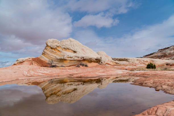 istock White Pocket, Arizona, USA 2147696077